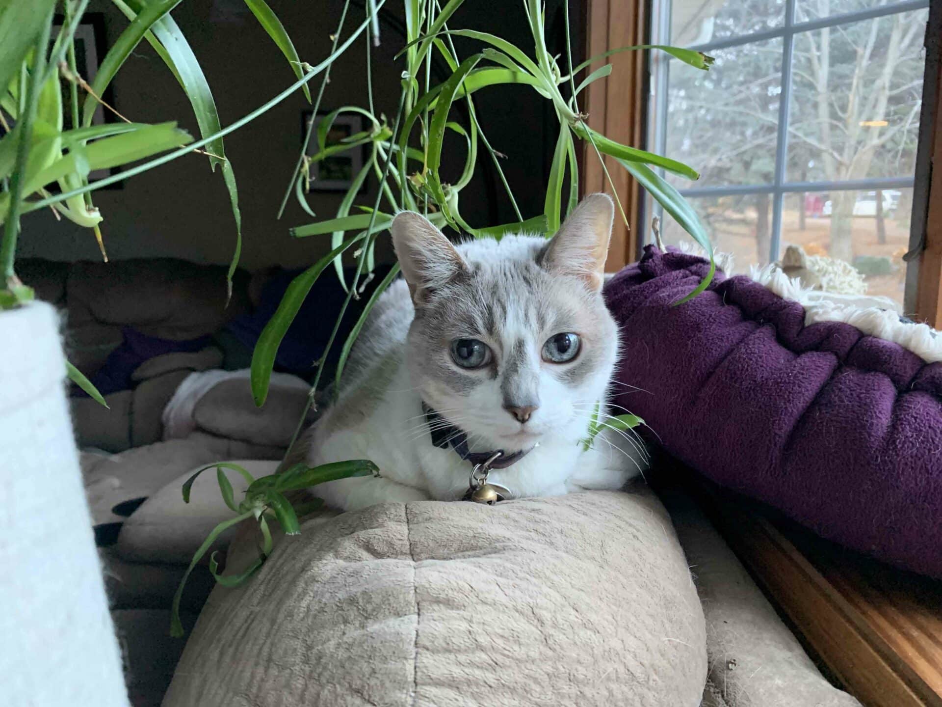 Call for Same-Day Drop-Offs