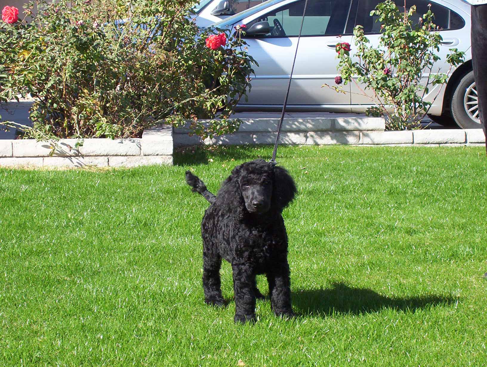 How the Drop-Off Process Works