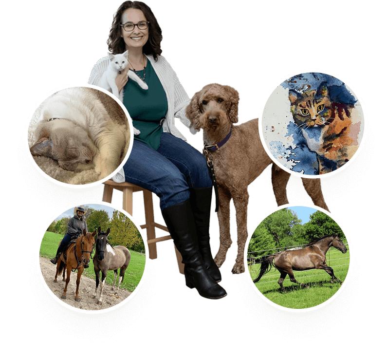 Meet Dr. Carissa Haverly, DVM Photo