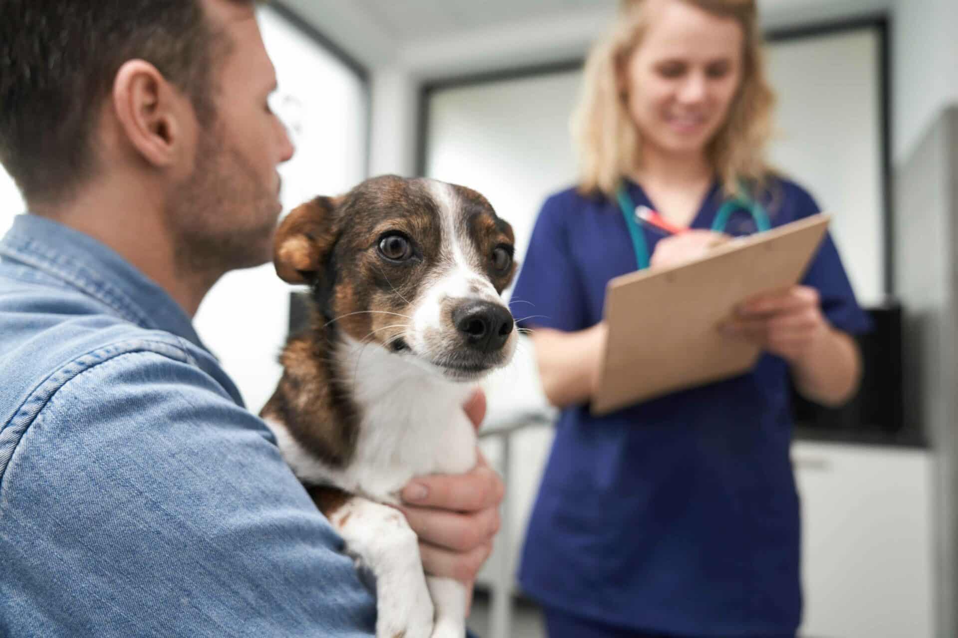 Partnering with You for Your Pet’s Health | Call Us Today!