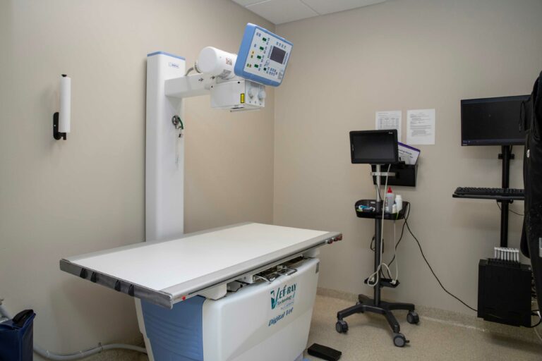 Radiology and Diagnostics 1