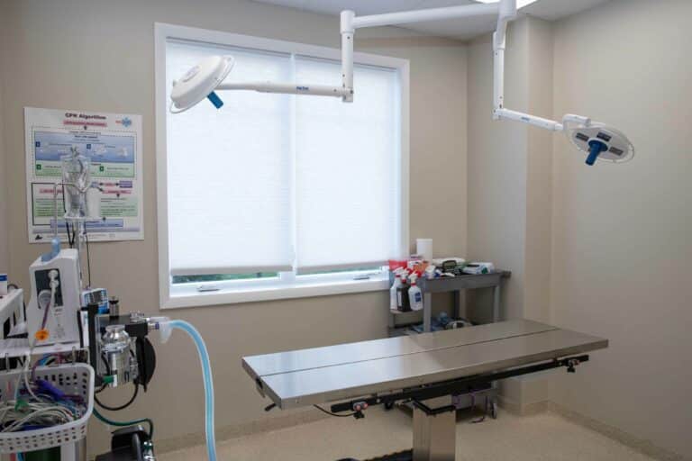 Radiology and Diagnostics 2