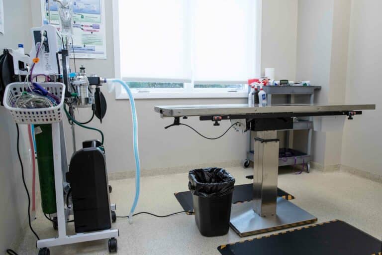 Radiology-and-Diagnostics 3