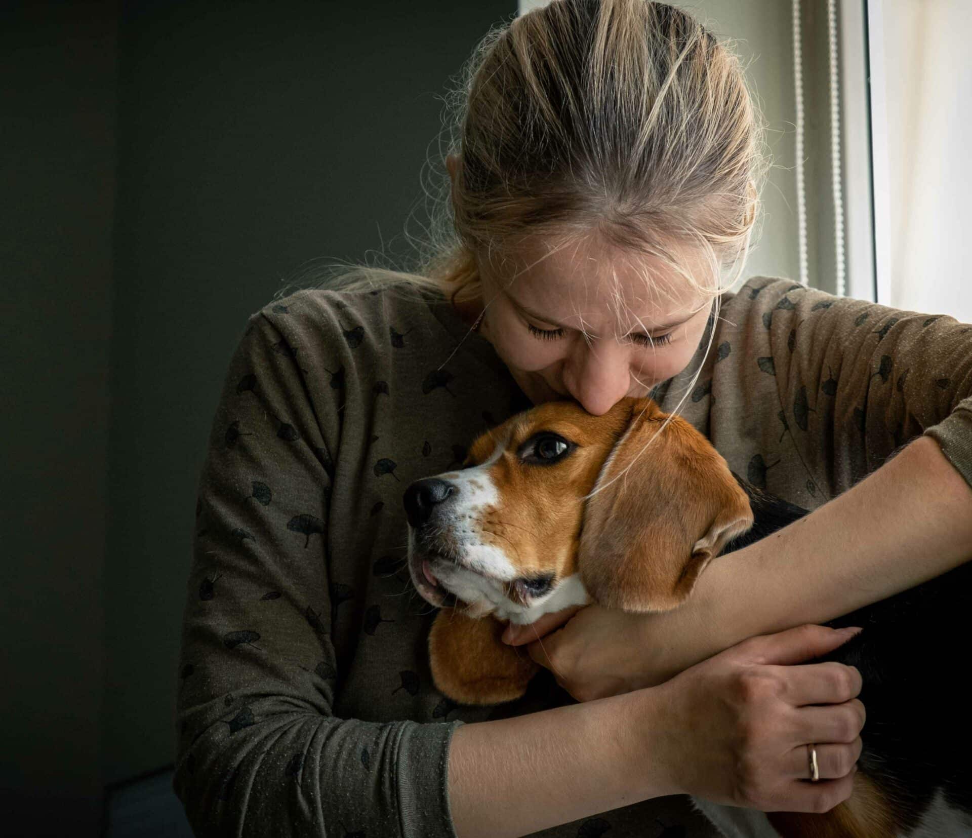 Start Your Dog’s Journey Toward Calm and Confidence