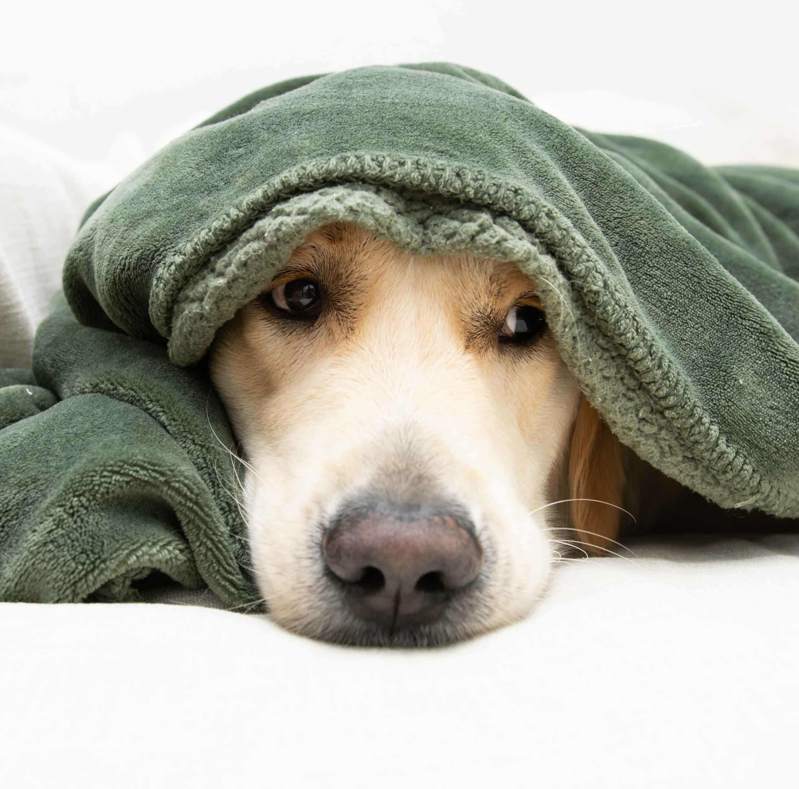 Types of Urgent Care We Provide