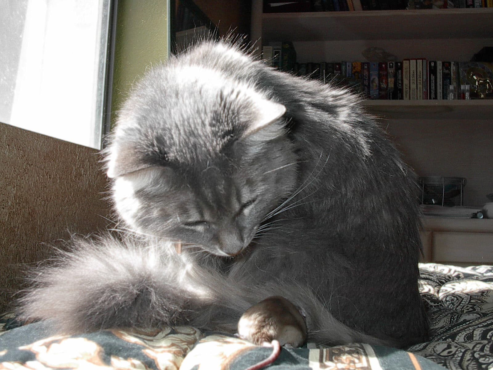 What Families Can Expect During a Behavior Consultation